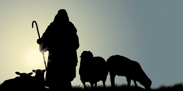 The Shepherd’s Responsibility