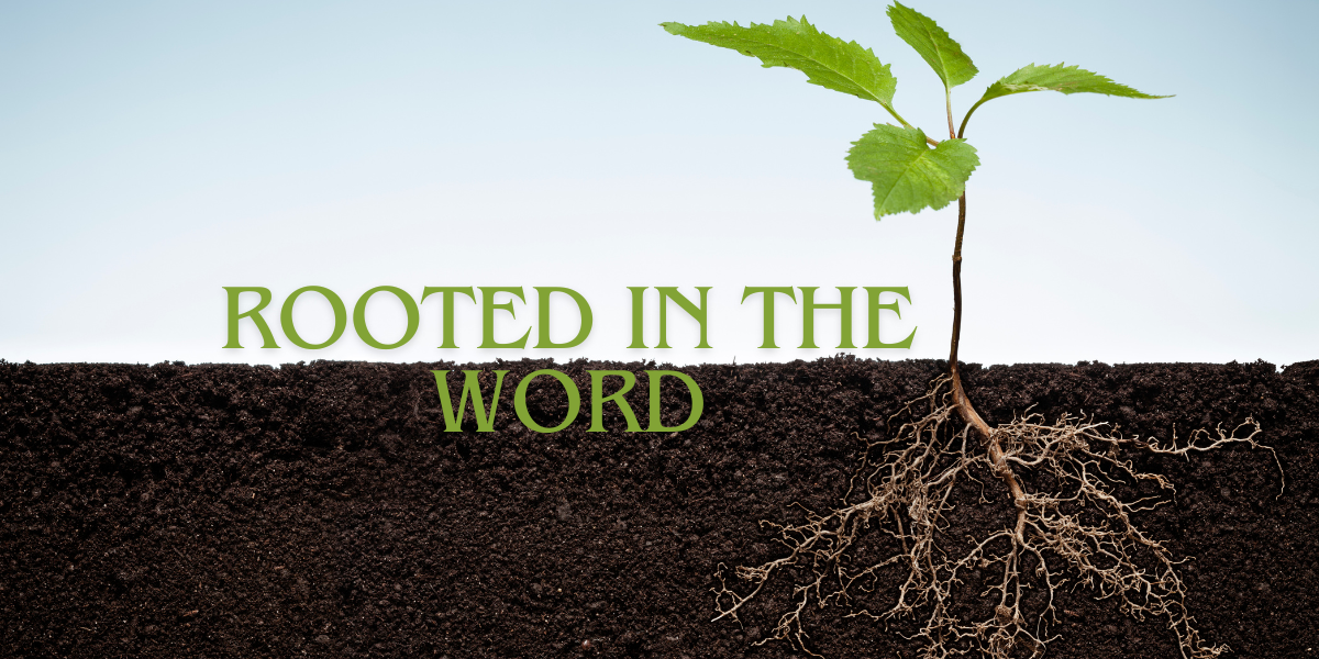 Remain Rooted in God’s Word