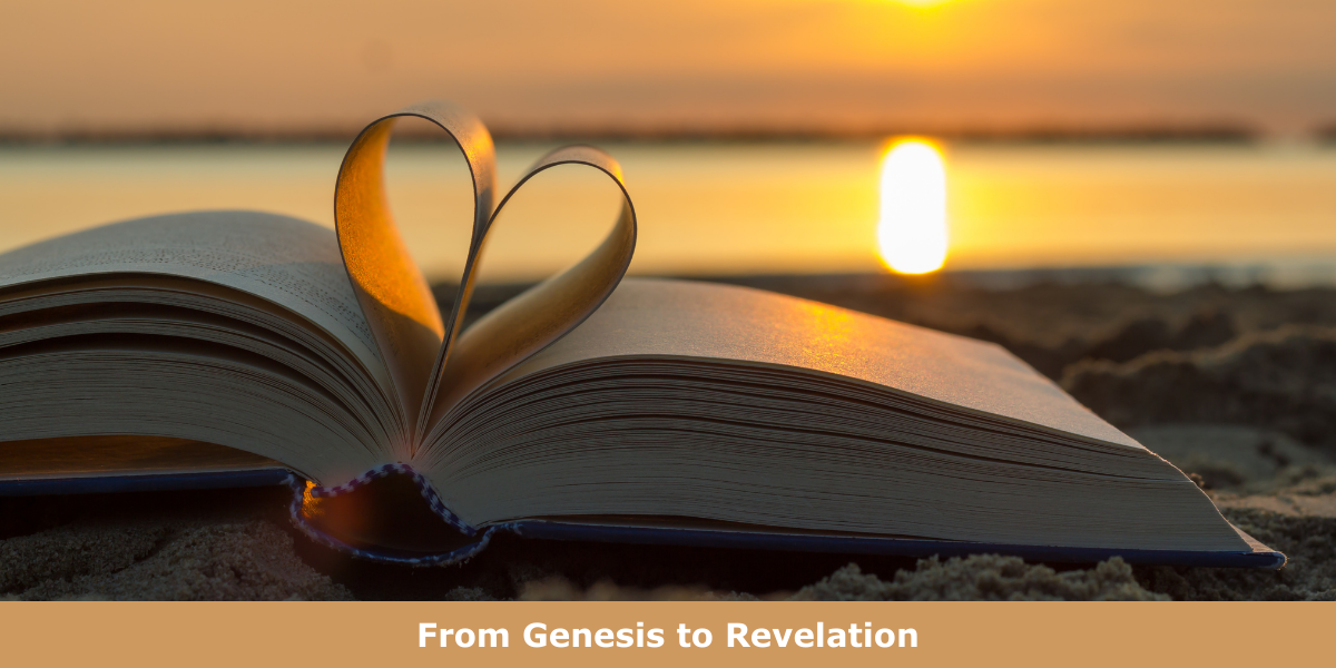 The Story of God’s Love Reading Challenge