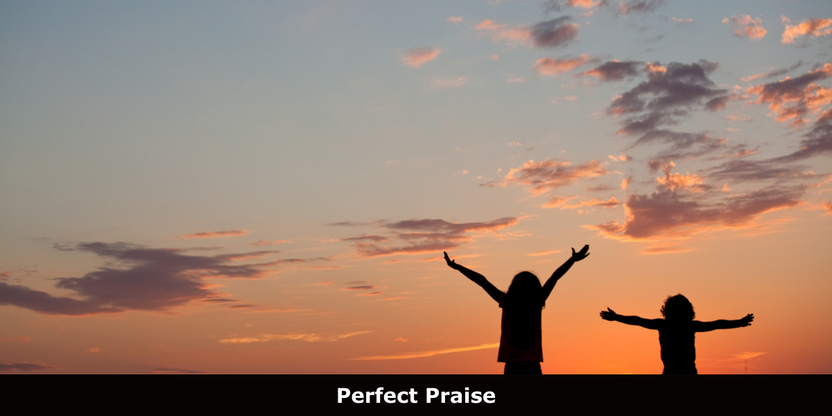 Perfect Praise