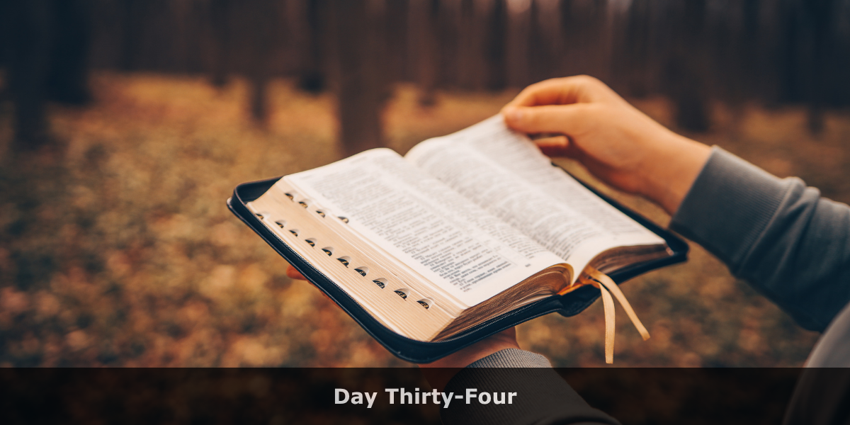 March 28: Let Your Light Shine