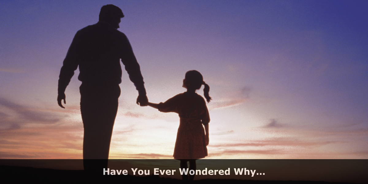 Have You Ever Wondered Why…