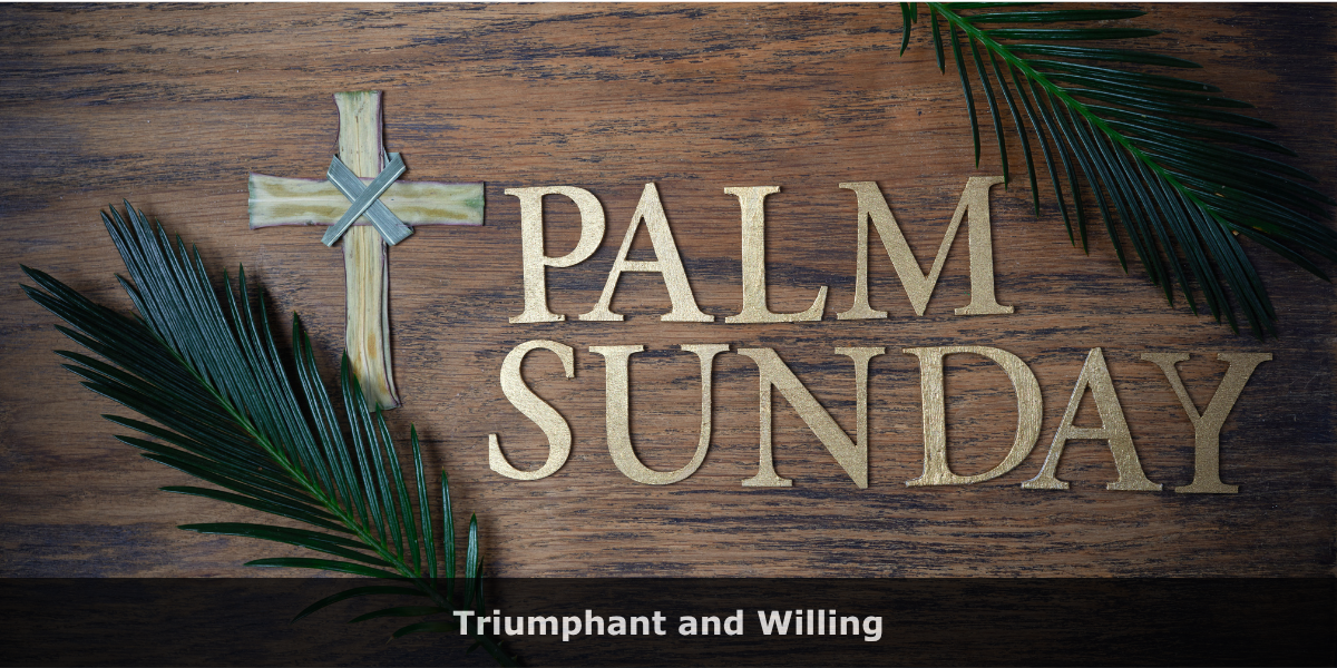 Palm Sunday Devotion: Triumphant and Willing