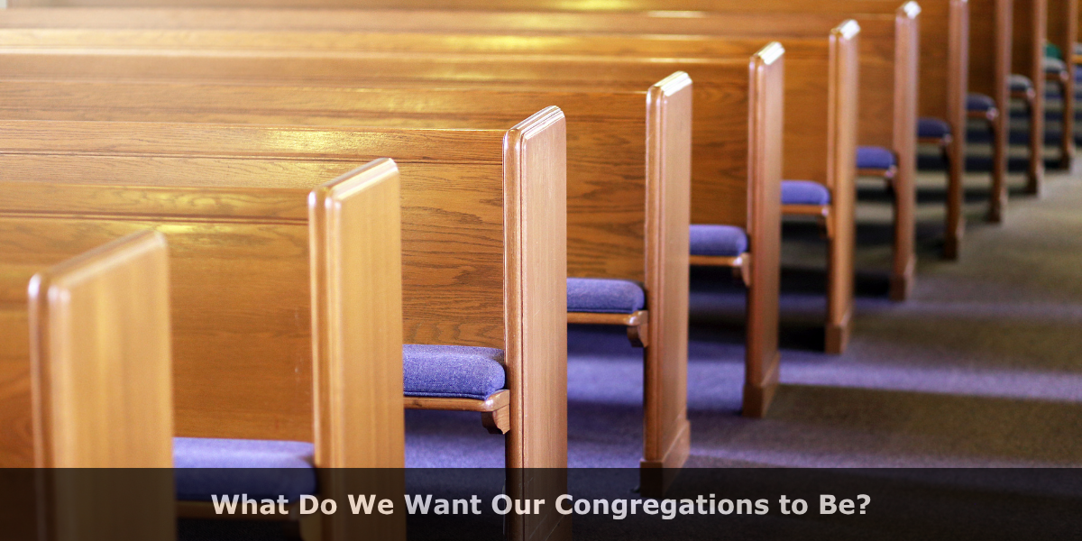 What Do We Want Our Congregations to Be?